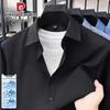 Pierre Cardin Men's Wrinkle-Free Long Sleeve Shirt