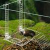 Turtle Basking Platform Turtle Floating Island Aquariums Island Climbings Turtle Ladder Aquariums Accessories Decoration