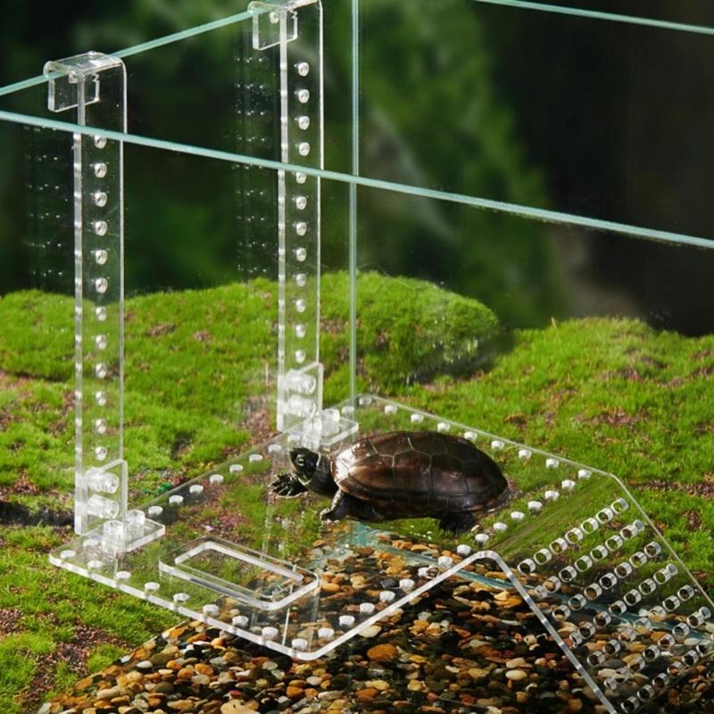 Turtle Basking Platform Turtle Floating Island Aquariums Island Climbings Turtle Ladder Aquariums Accessories Decoration