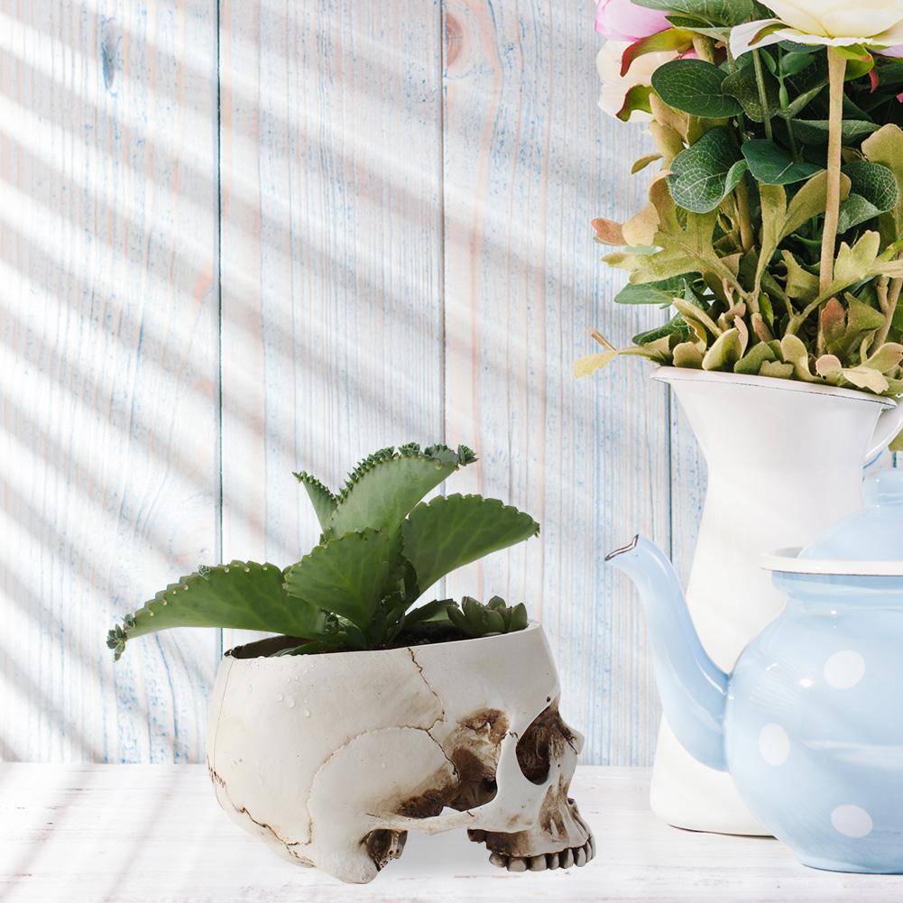 Modern Resin Skull Shaped Head Design Flower Pot Planter Container Decoration Flower Pot Props for Home Desk Decoration