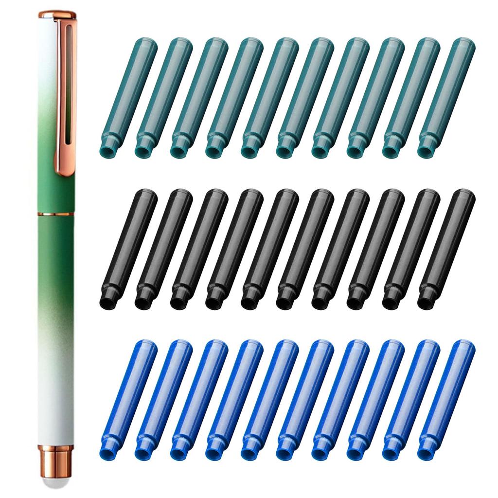 Metal Fountain Pen and 30 Inks Sac Set 0.38mm Tip Erasable for Beginner Student Adult Handwriting Drawing Journaling