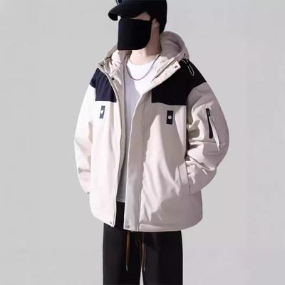 מעילים וג'קטים – מעילים