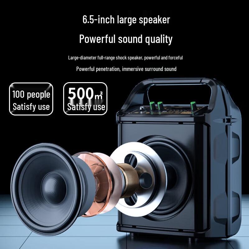 Soaiy SA-F33 Portable KTV & Live Stream Speaker