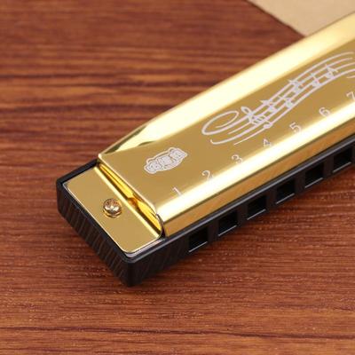 Harmonica Key Of C 10 Hole Diatonic Harmonica C With Case For Beginner Students Kids Gift Metal Harmonica