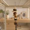 Parrot Beak Care Toy Chew Toy, Pine Cone Bird Wooden Blocks Enrichment Cage Accessories for Small Medium Parrots Foraging Biting