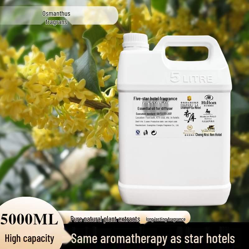 Aroma Essential Oil Diffuser: Commercial Fragrance Machine with 5L Refill for Hotels and Clubs
