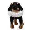 Elegantes Weißes Rüschen-Hunde-Katzen-Halsband Verstellbar Mittelalterlich Königlich Haustier-Kostümzubehör für Halloween Fotoshooting