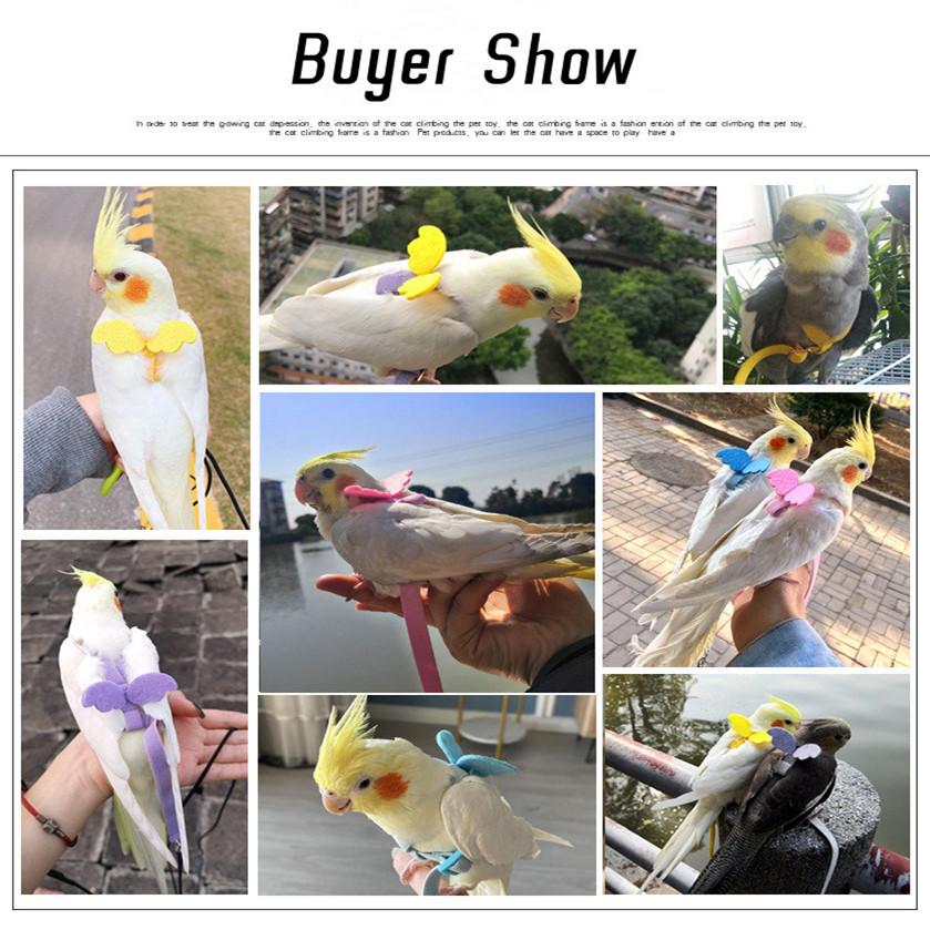 Verstellbares Papageien-Vogelgeschirr-Leine-Set Anti-Biss-Trainingsgeschirr Papageien Outdoor-Fliegenseil Nymphensittich Kleinvögel Zubehör