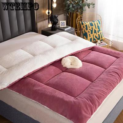 Warm Winter Single Student Dormitory Mattress Solid Color Soft Thickened Plush Mattress Cushion Home Tatami Double-sided Bed Mattress Quilts