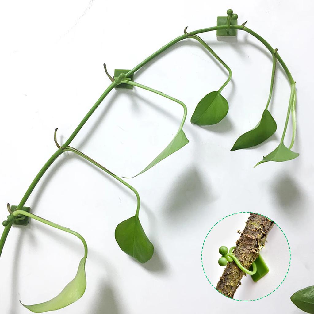 100-10PCS Plant Climbing Wall Self-Adhesive Fixed Buckle Hook Fastener Tied Fixture Buckle Garden Plant Wall Climbing Vine Clips