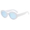 2025 Arc de Triomphe Oval Cat Eye Sunglasses - French Retro High Street Style for Women in White