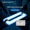 XPES Electrodeless UV Germicidal Lamp