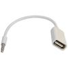 BLUEXIN 3.5MM Male Aux Audio Plug Jack To USB 2.0