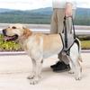Dog Hip Support Brace for Hip Dysplasia, Adjustable Dog Hip Brace with Lift Strap | Pain Relief for Dog Arthritis and Joint Hurt
