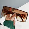 Fashion Large Frame Sunglasses for Women UV400 Protection Wide Rim Catwalk Street Style Ins
