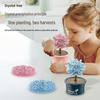 DIY Crystal Growing Magic Tree: Educational Toy for Primary Students