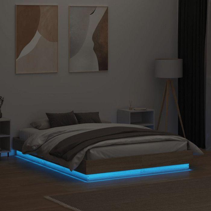 VidaXL Cadre de Lit avec Lumières LED, Sommier à Lattes, Lit Double, Lit Adulte de Chambre à Coucher Intérieur, Moderne, 3209823