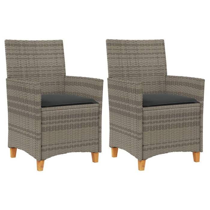 VidaXL Lot de 2 Chaises de Jardin avec Coussins, Sièges avec Accoudoirs, Fauteuils de Terrasse Patio, Moderne, Gris Résine 368718
