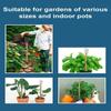 Wood Rod Electroculture Plant Stakes Wire Coil Electroculture Vegetables Stake  Flower