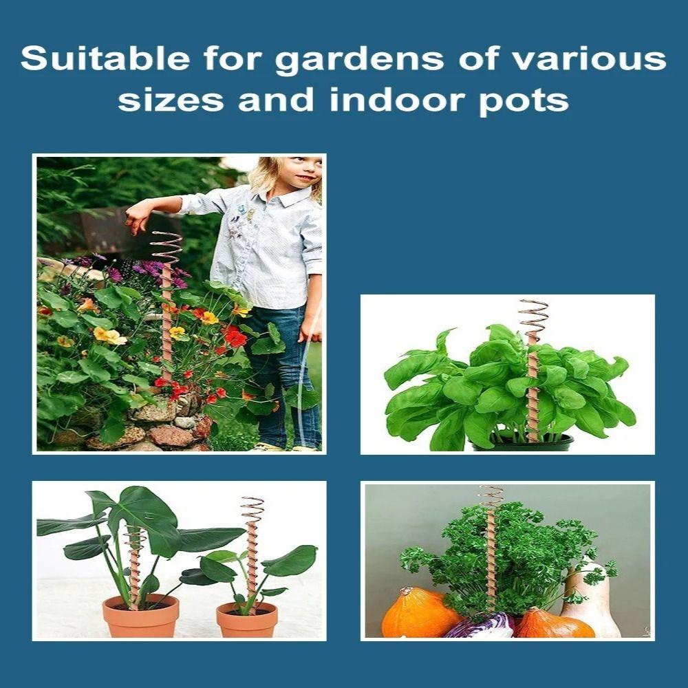 Wood Rod Electroculture Plant Stakes Wire Coil Electroculture Vegetables Stake Flower