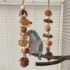 Vogelspielzeug Papagei Kauspielzeug Vogelkäfig Reißspielzeug Kleiner Mittlerer Vogelkäfig Kiefernzapfen Vogelstange für Conure Nymphensittiche