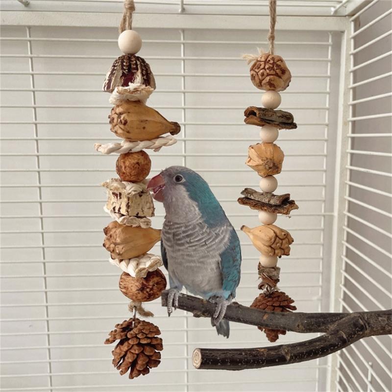 Vogelspielzeug Papagei Kauspielzeug Vogelkäfig Reißspielzeug Kleiner Mittlerer Vogelkäfig Kiefernzapfen Vogelstange für Conure Nymphensittiche