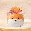 Adorable Ceramic Dog Flowerpot for Home And Garden Beautification