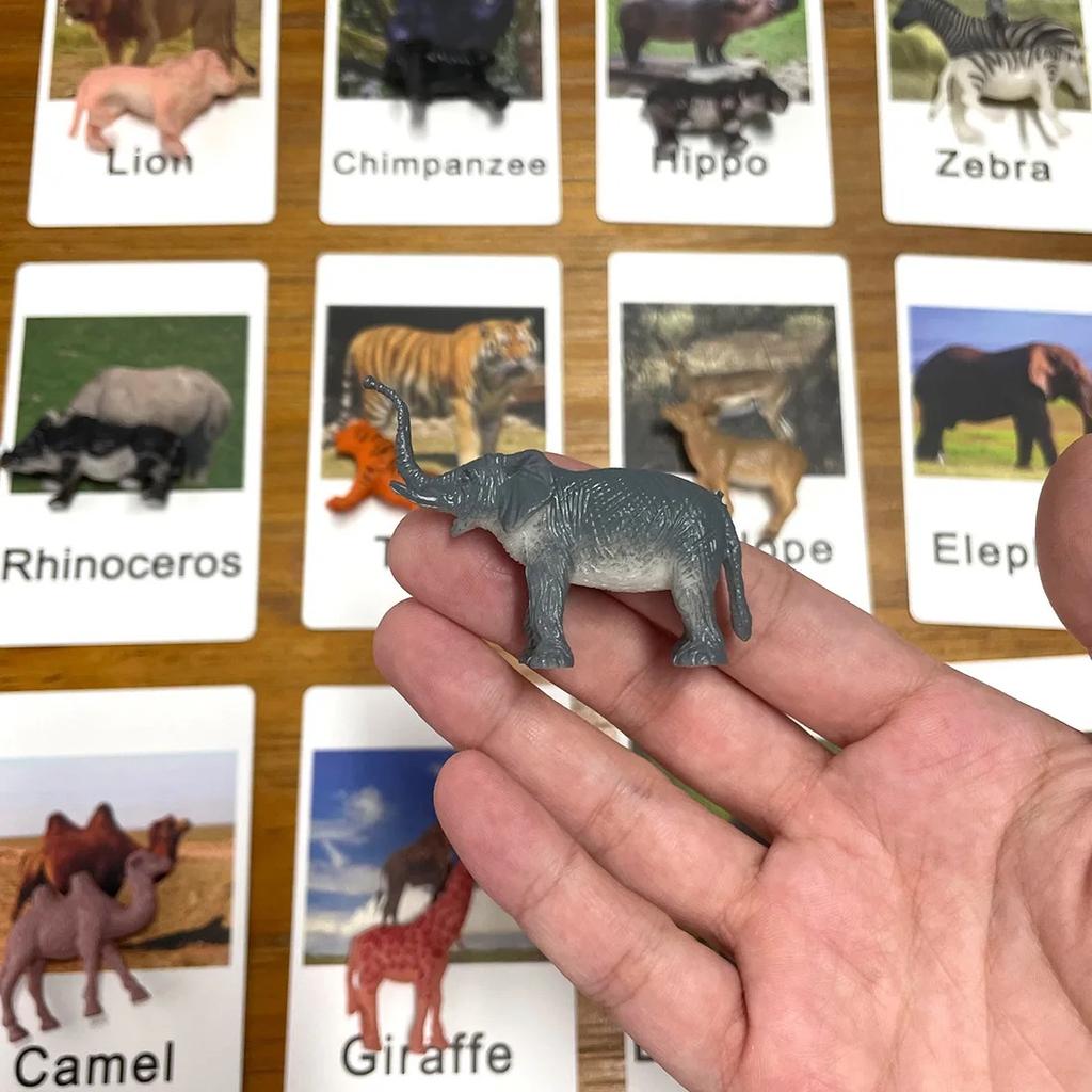 Model Educational Kid Dinosaur Ocean Animal Figures Biology English Flash Cards Matching Game Sensory Montessori Baby Toy