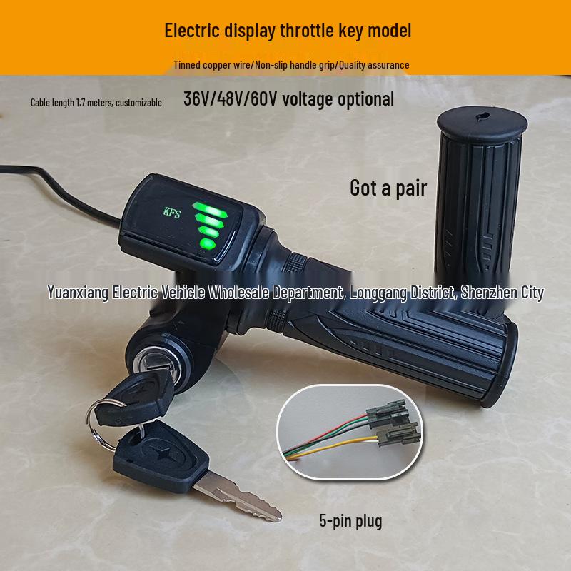 Electric Scooter Speed Governor with Dashboard and Twist Grip 48V