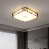 Chinese Style LED Ceiling Lamp