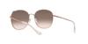 Sunglasses HC7134 Rose Brown Silver Mirror Gradient Lens 57 [Coach] Gold/Light