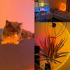 USB Sunset Lamp Sunset Projector Mood Light Living Room Bedroom Night Light Indoor Decor Bar Atmosphere Photography Background