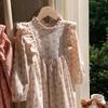 Spring 2026 Korean Style Children's Floral Dress with Stand Collar and Ruffle Lace - Long Sleeve Princess Skirt