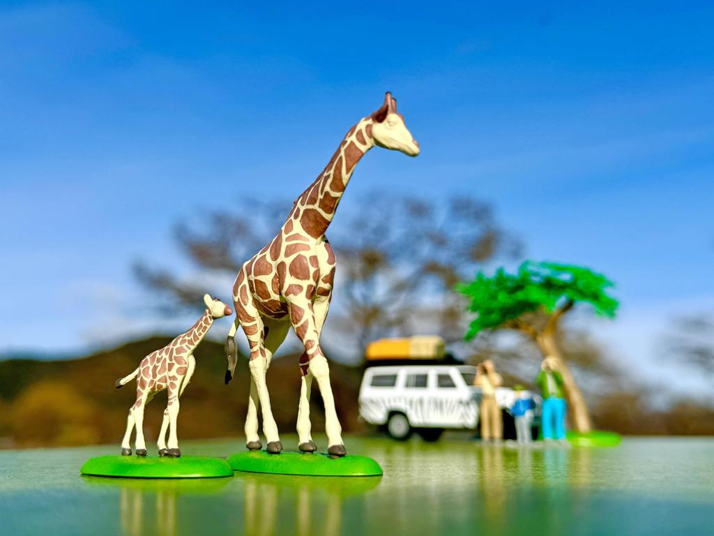 TOMYTEC Kaiyodo X Tomica Limited Vintage Geocolle 64 Car Snap 28a Safari 1 Toyota Land Cruiser ABS PVC Dolls and Accessories Partially Miniature Car