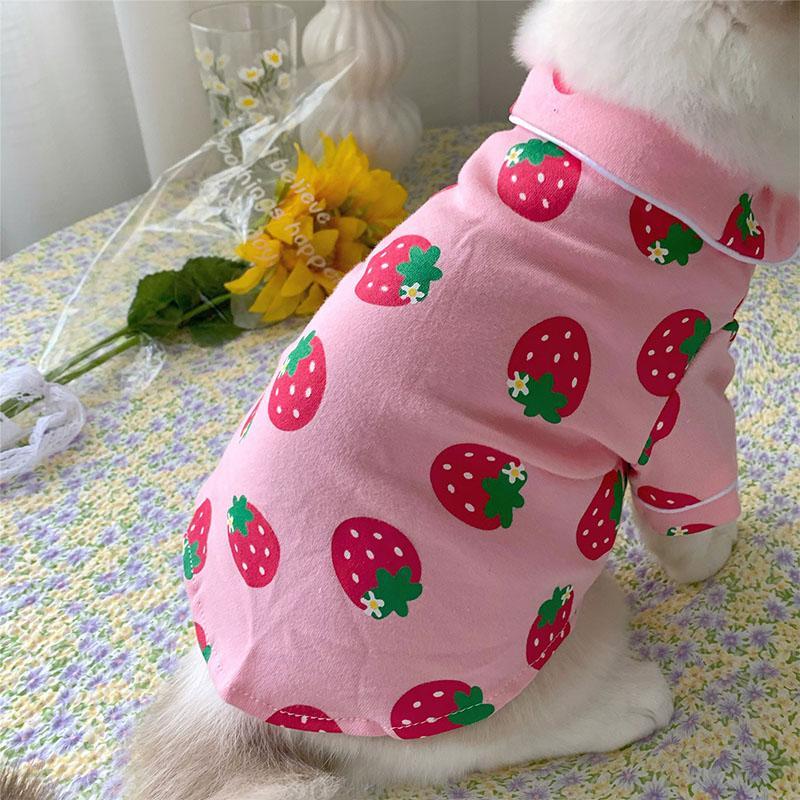 Spring Cat Costume Cute Cozy Pet Clothes for Cats Katten Kedi Hoodie Mascotas Gato Sweatshirt Cat Sweater Pets Clothing Outfit