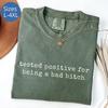 Plus Size Adult Humor T-Shirt, Funny Mood Tee For Plus Size Women, Comfort Colors Shirt, Sassy Tee Shirt for Girlfriend, Funny Coworker Gift