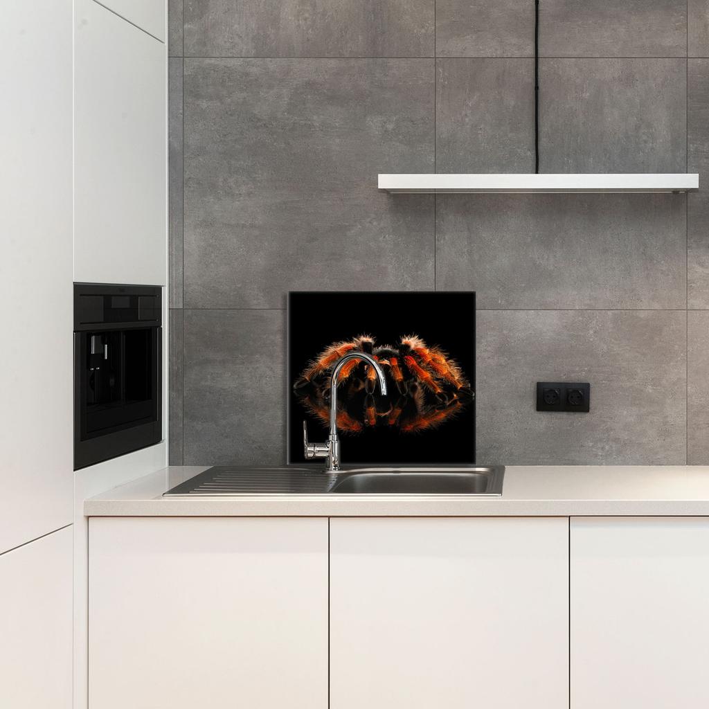 PANEL SZKLANY DO KUCHNI 65x60 Pająk