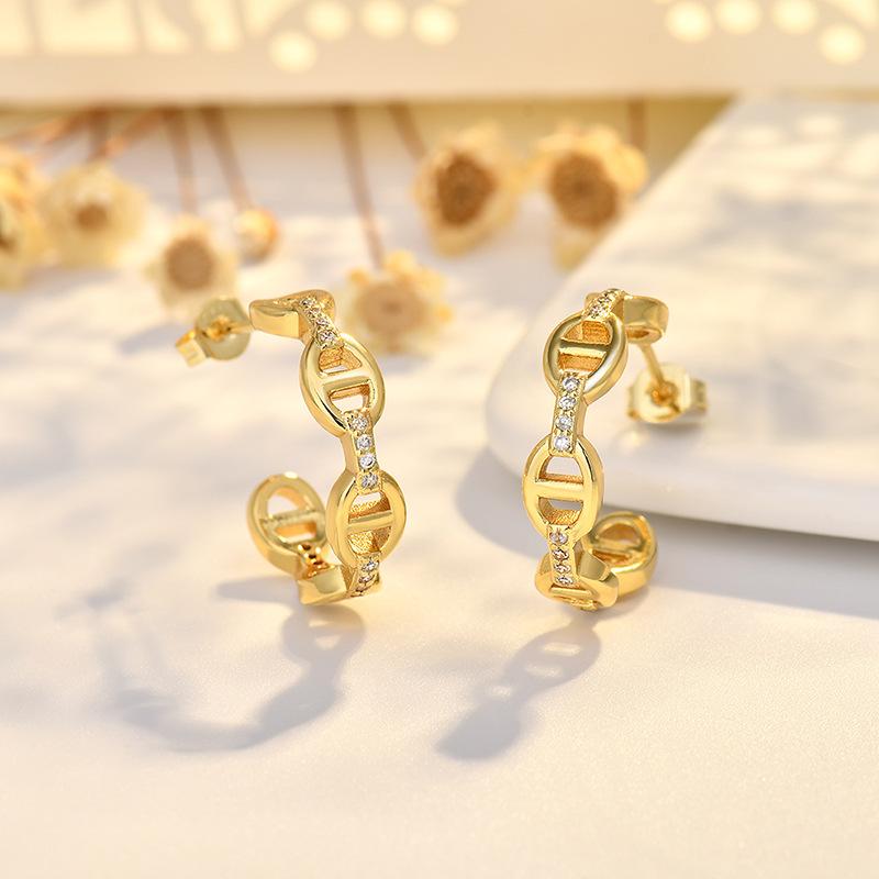 New Pig Nose Light Body Geometric Earrings Fashionable Light Luxury Women's Style Small Earrings