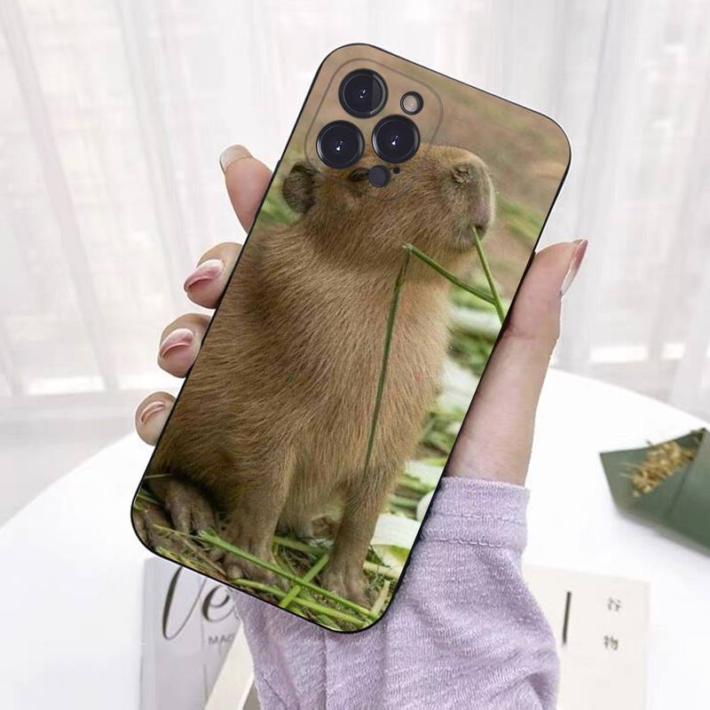 

Чохол для телефону Animal Funny Capybara Bg для iPhone 8 7 6 6S Plus X SE 2020 XR XS 14 11 12 13 Mini Pro Max Mobile Case For iphone 13