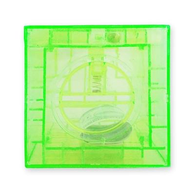 Clear Labyrinth Puzzle Money Box