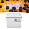 Cooler Box 10L   Highly Efficient with Handle Insulated Cooler for Camping Picnic Fishing Commercial Use