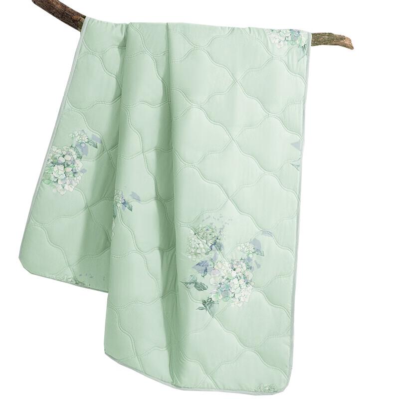 

Mercury Home Textiles Floral Whisper Summer Quilt