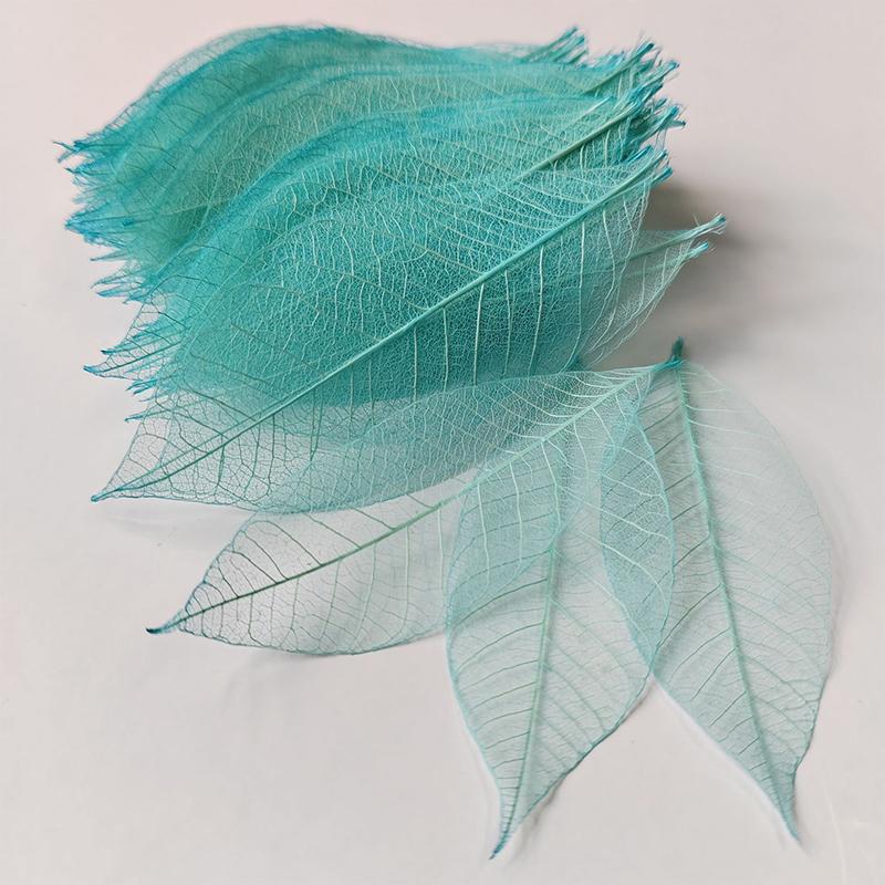 5~9CM*2~3.5CM,10PCS/Set,Real Dried Natural Vajra Leaf ,Pressed Dry Flowers Skeleton Leaves,DIY Wedding Decoration