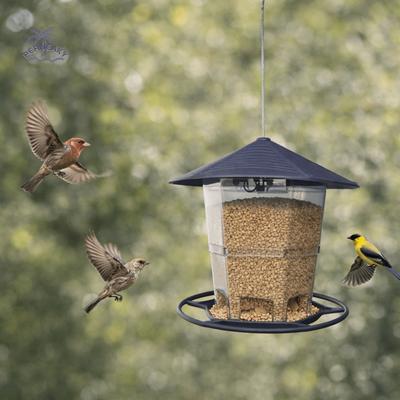 Feeding Tool Folding Hanging Bird Feeder Bite Resistant Waterproof Wild Bird Feeders Large Capacity Bird Food Dispenser Patio
