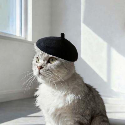 Cute Adjustable Wool Puppy Beret Mini Comfortable Beret Style Headwear Wool Pet Hat For Small Dogs