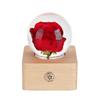 Unique Hot Item 2026 Trends New Years Innovative Product Ideas In Latest Real Flower Night Light Holiday Festival Gift Set