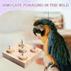 Bird Toys Wooden Lovebirds Peg Training Toy Lovebird Playing Device For Metal Stimulation Parakeet Puzzle Training Chewing Tools