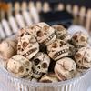 20Pcs Realistic Resin Skull Figures Ideal for Haunted Houses Decorations Home Garden Accents