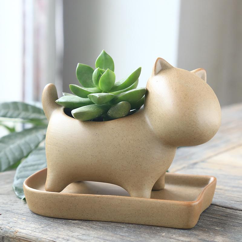 Terrakotta Pflanztopf Zakka Keramik Sukkulenten Rohlingtopf mit Untertasse Niedliches Cartoon-Tier Keramik Blumentopf