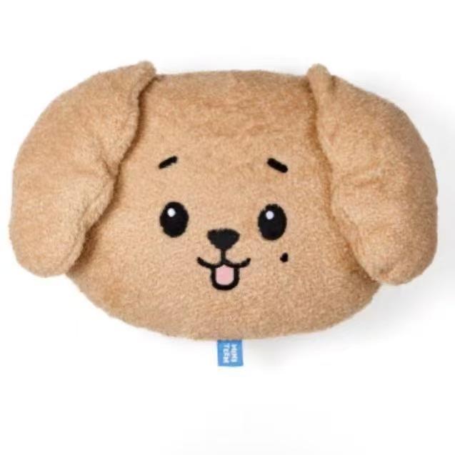 SEVENTEEN Miniteen Kpop regalo Muñeco de peluche Cojín facial almohada pop up MD DOA